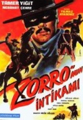 Zorro nun intikami.jpg